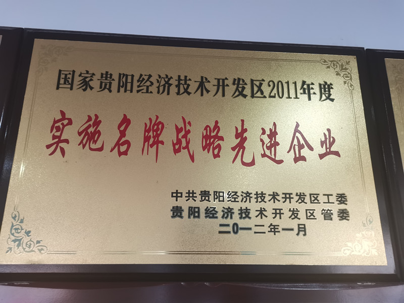 實施名牌戰(zhàn)略先進(jìn)企業(yè)